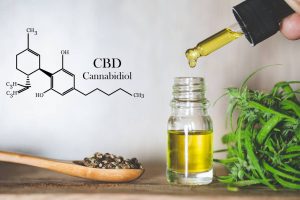 Fleur de CBD : les critères d&rsquo;un achat auprès d&rsquo;un vrai spécialiste
