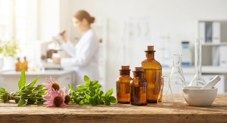 La phytothérapie moderne : vers une approche intégrative et sécurisée de la santé au quotidien