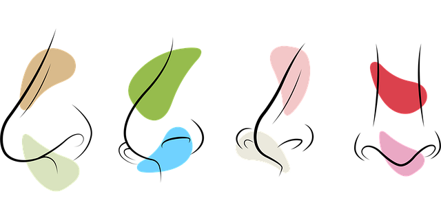 Illustration du profil d'un nez avec une bosse nasale